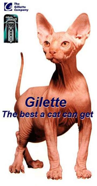 gilette